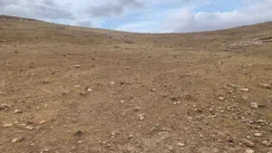 ارض زراعية للبيع في السلط قريب من ام خروبة