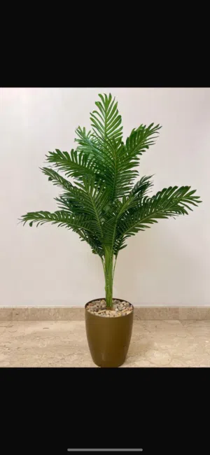 Tree good condition