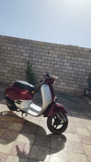 دراجه كلاسيك 60 cc للجاد قابل الوصف مهم.
