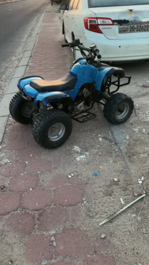 بقي صيني للبيع