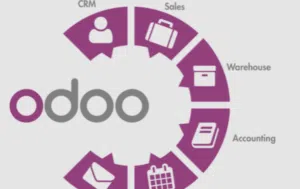 Business Consulting . Other4