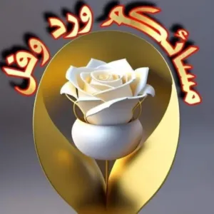 كل شي بنصيب 