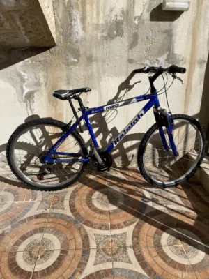 Raleigh M20 Mountain Sport bike بسكليت جبلي أمريكي
