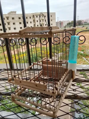 Accessories . Birds & Poultry3