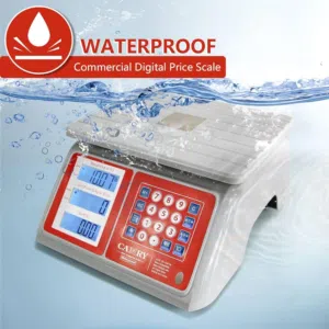 CAMRY Waterproof Digital Scale