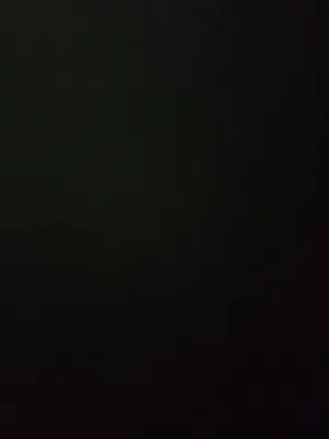 مطلوب قفص للتبني