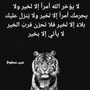 قائد فكيني 