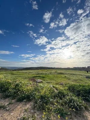 Residential Land for Sale in Amman Naour