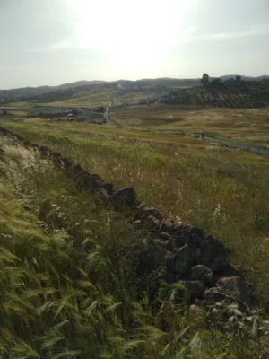 Mixed Use Land for Sale in Mafraq Rhab