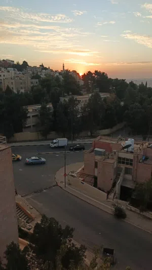 MajdAhmad 