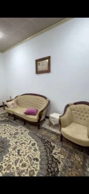 تخم كامل 6 قطع  350
