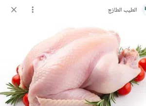 طعام كلاب عضوي