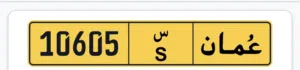 رقم مميز 10605 س