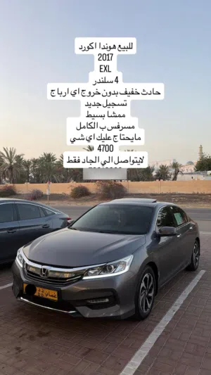 New Honda Accord in Al Batinah