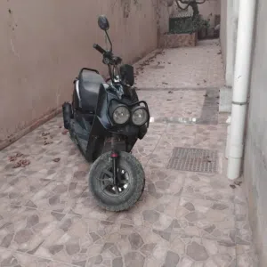 فيزبا عيون 2023 سعر شوي