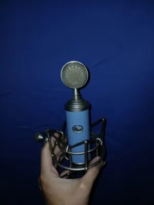 bluebird microphone