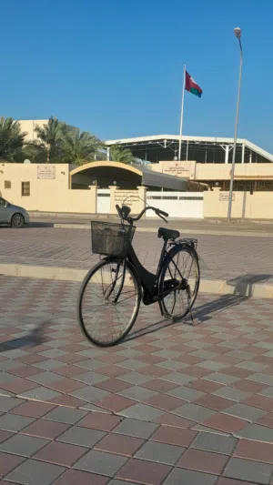 سيكل يابانى