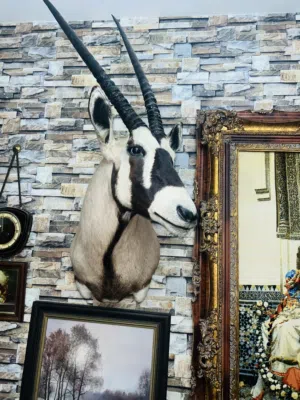 ديكور راس غزال الماها العربي