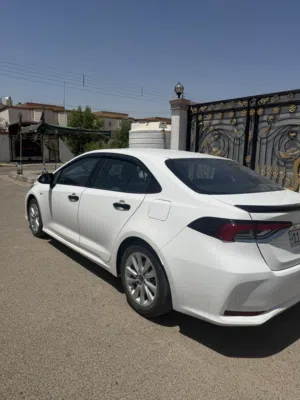 Used Toyota Corolla in Basra