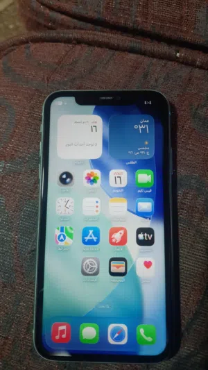 Apple iPhone 11 128 GB in Amman