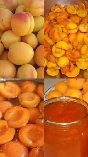 مربى فروالة ومشمش
