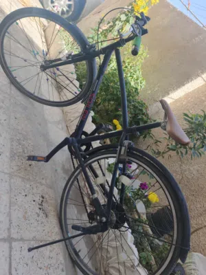 باسكل للبيع