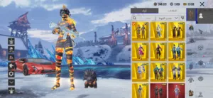 Pubg Accounts and Characters for Sale in Al Batinah