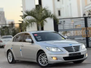 جينسس 2010