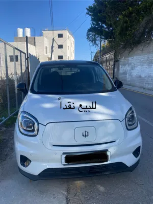 Used Leapmotor T03 in Hebron