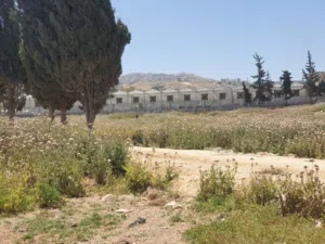 قطعة سكنية في قرية ابو نصير على شارعين 534م فقط 36000 قوشان مستقل