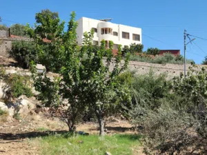 Residential Land for Sale in Amman Badr Jdedeh