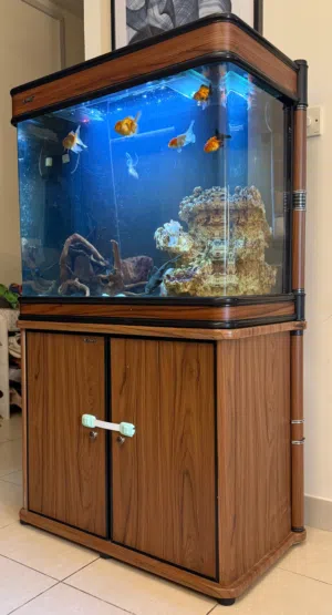 Fish tank 80cm full set