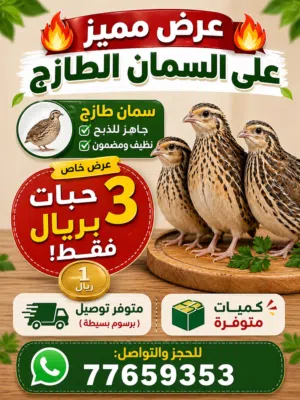 السلام عليكم ورحمة الله وبركاته