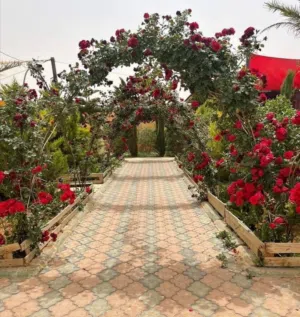 عبدالله 