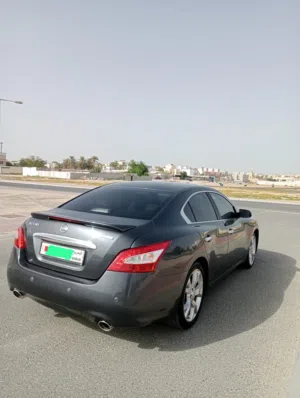 للبيع نيسان مكسيما مسجل مامن  لايعاني من اي شي للمزيد من التفاصيل التواص على الرقم