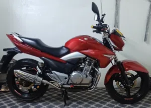 Suzuki . GW250 . 20141