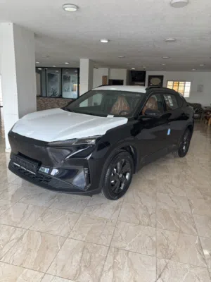 Dongfeng mage sky01  دونج فينج ميج  2027