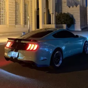 محمد الاحمد 