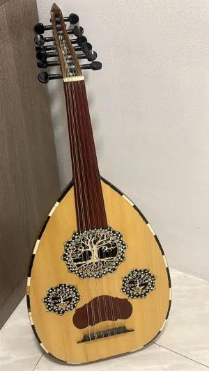 فرصه عود جديد