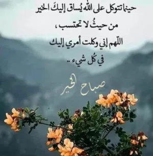 محمد هاشم 