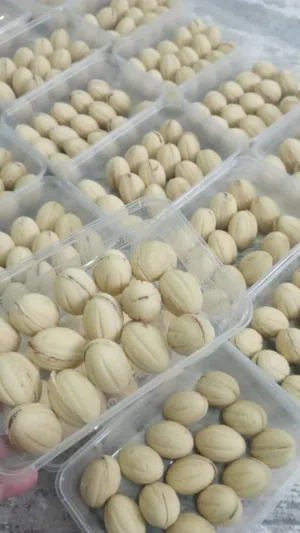 عين الجمل العلبه ريال