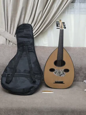 عود احترافي دراجة أولى