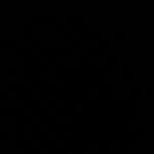 ib.dr