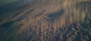 قطعة ارض في النعم
