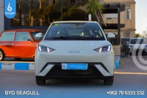 BYD_Seagull_EV_2024