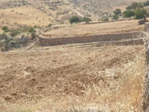 farm-land-for-sale-in-zarqa-sarout