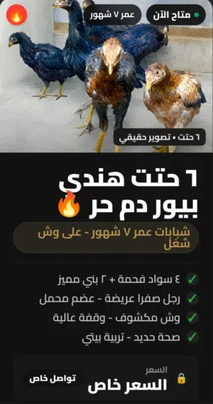 هندى بيوررررررر