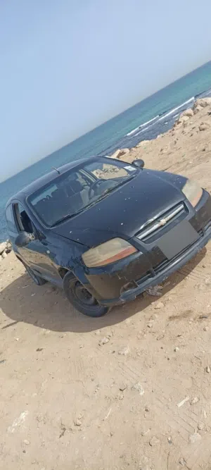 شفر كالوس 2001
