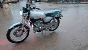 بارت شاهين 2026