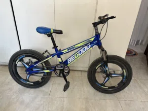 Kids Bicycles for sale